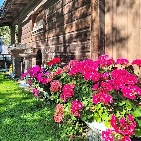 Edelweiss By Interhome